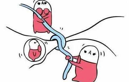 结扎了还会排卵吗
