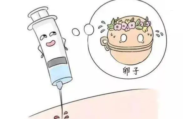 促排针时间长短不影响成功率