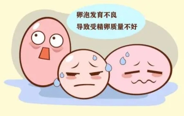 卵泡不发育可是自然怀孕了对孩子智力没有影响