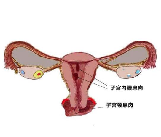 QQ截图20180421154022.jpg