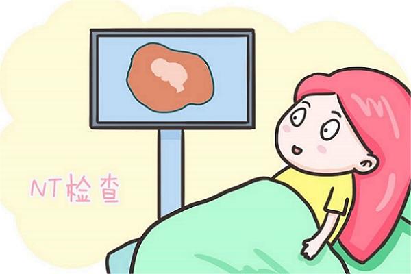 nt值与胎儿男女无关