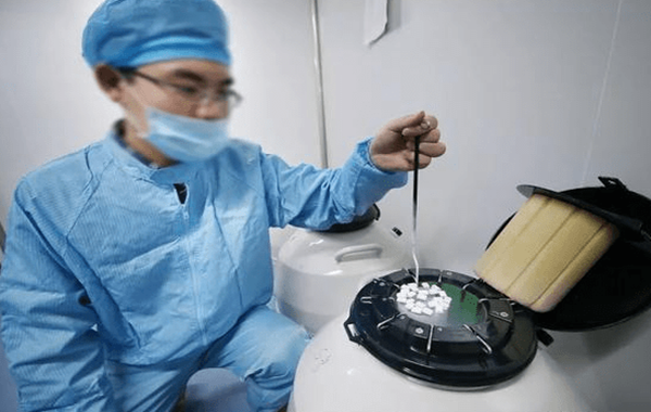 冻胚着床快还是鲜胚着床快