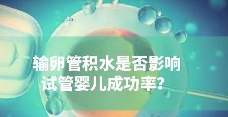 输卵管积水影响试管移植