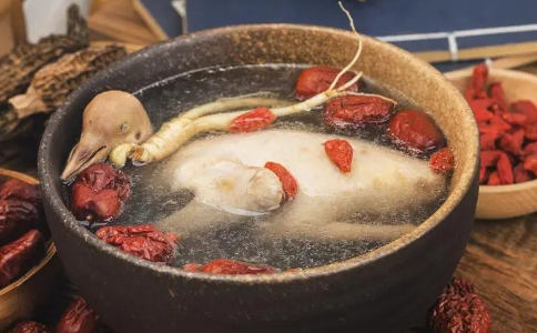 鸽子肉富含蛋白质