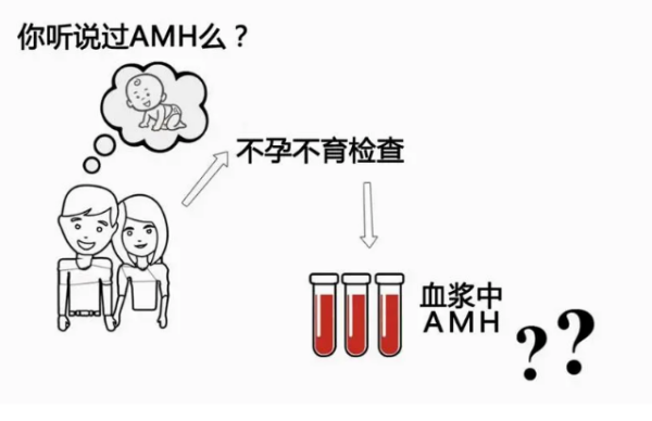 amh值0.09胚胎质量好能成功吗