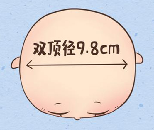 双顶径小可能是营养不足