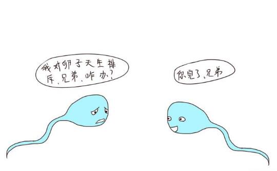 QQ截图20180530114354.jpg