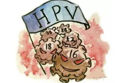 hpv阳性会传染吗.png