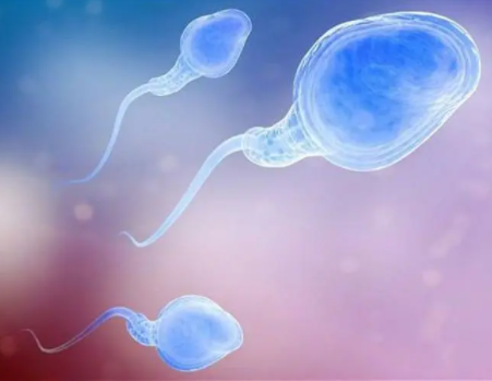 抗精子抗体阳性做泰国试管成功率高吗？
