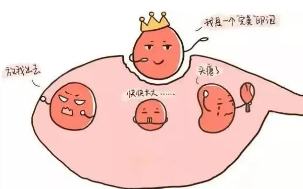 成熟卵泡隔天监测变小
