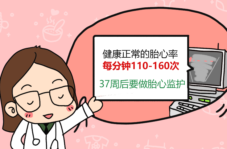 胎心率与胎儿是男是女无关