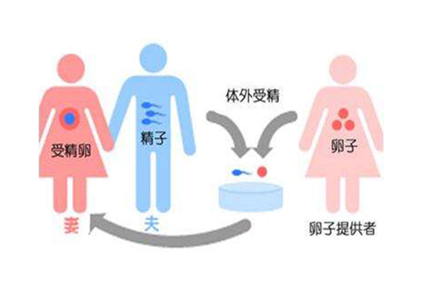 供卵需要做基因检测吗