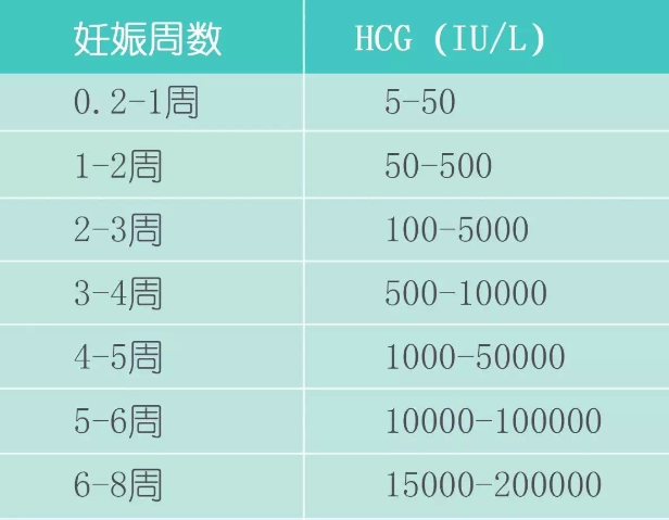 HCG能看出胚胎发育状况