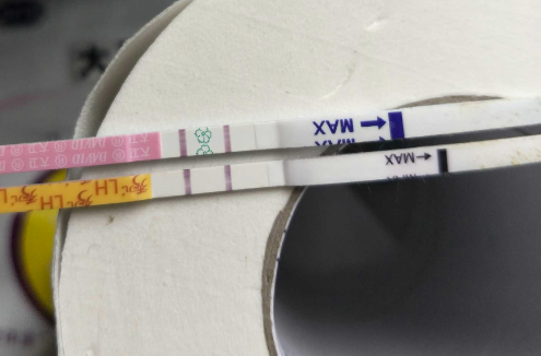 排卵试纸两条杠说明强阳