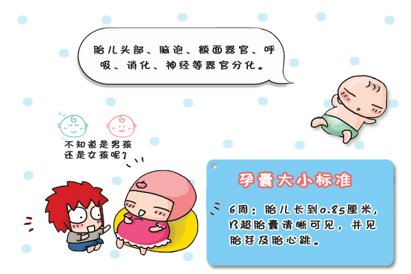 第6周孕囊大小对照表