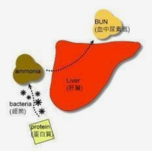 话题图标