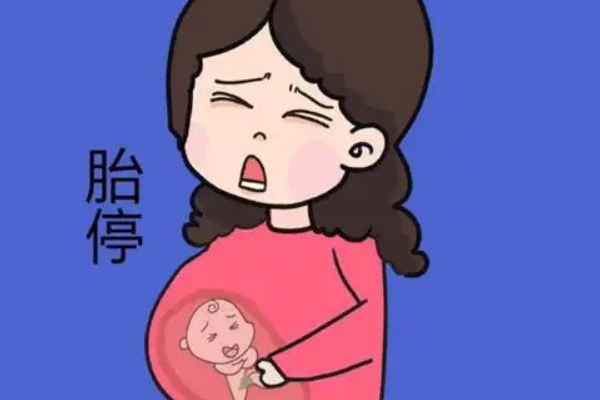 胚胎停育导致早孕反应消失