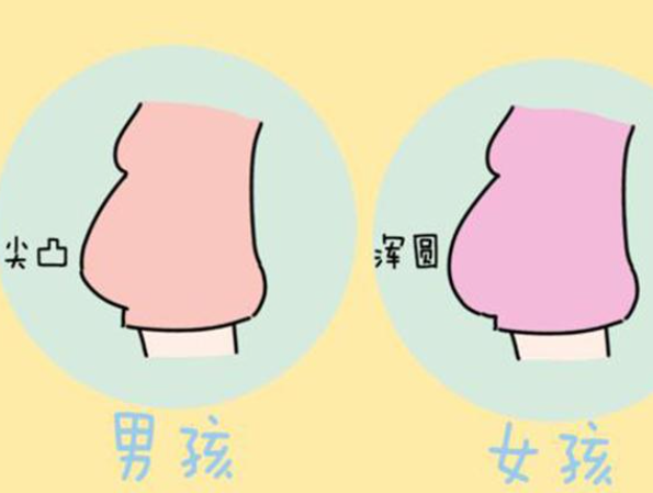 孕妇形状尖是怀男宝