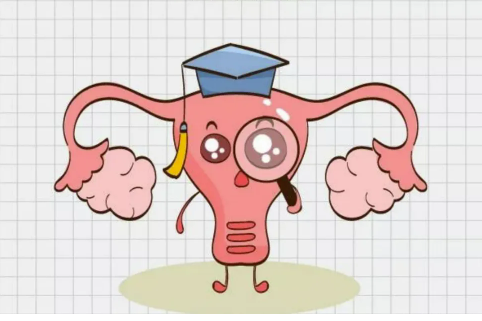 检查不孕项目1.png