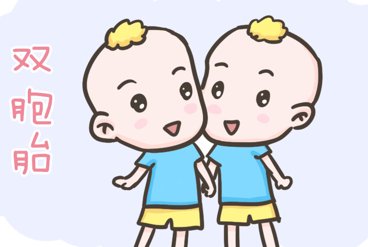 双绒双羊不一定是龙凤胎