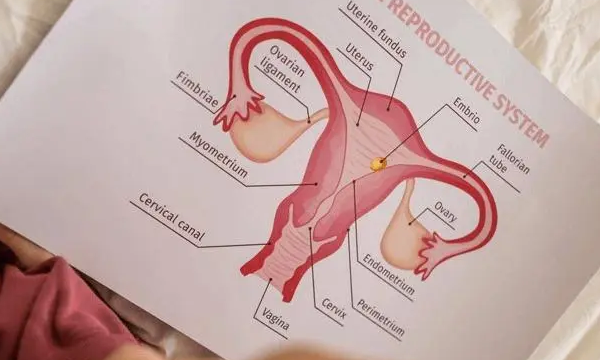 吃补佳乐补雌二醇的时间