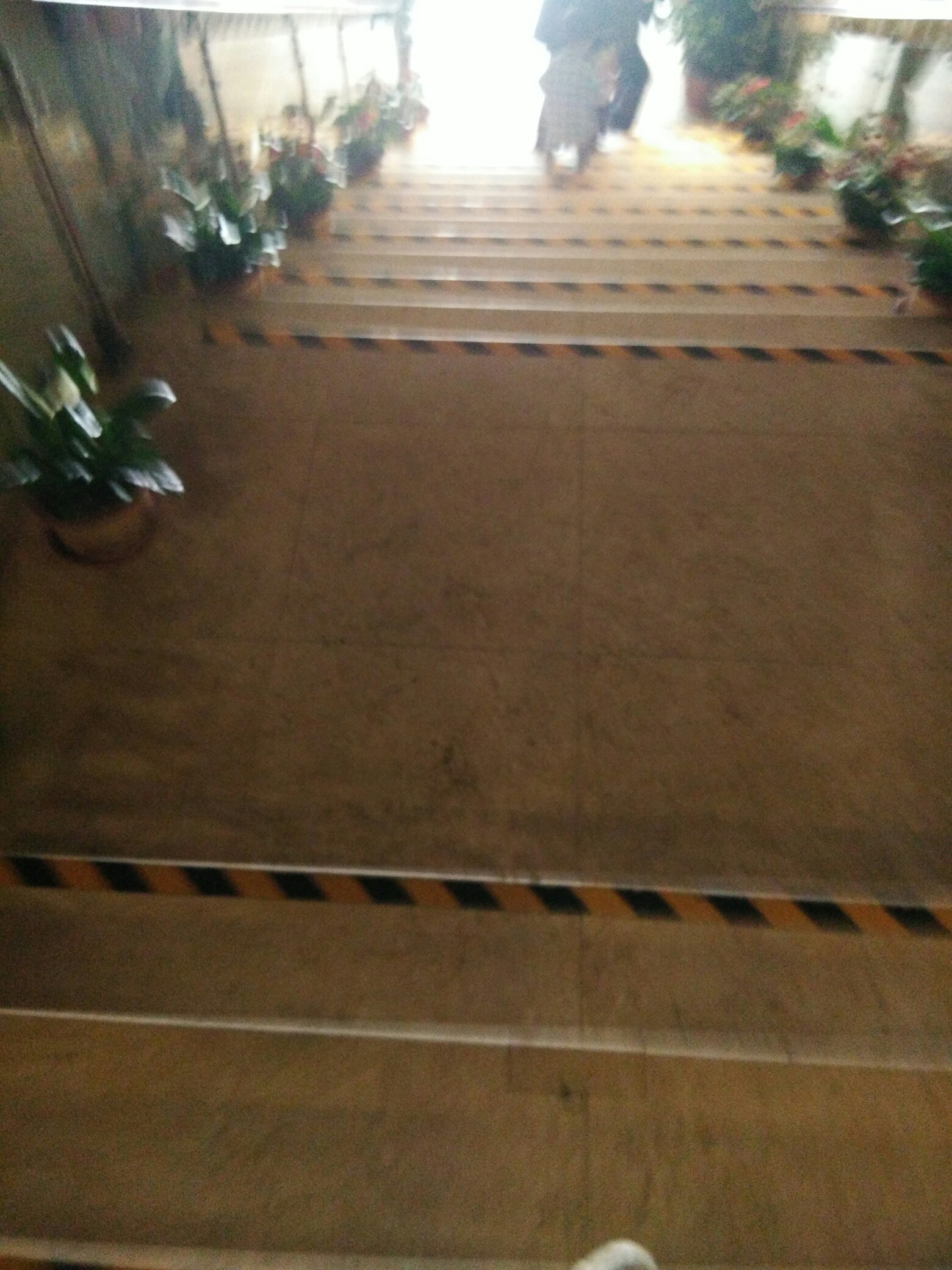 jing头像