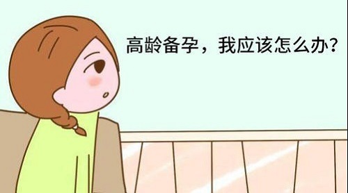 u=1937374163,3609996187&fm=26&gp=0.jpg