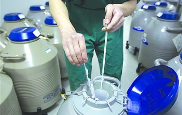 冷冻胚胎一年的费用大约3000-5000元