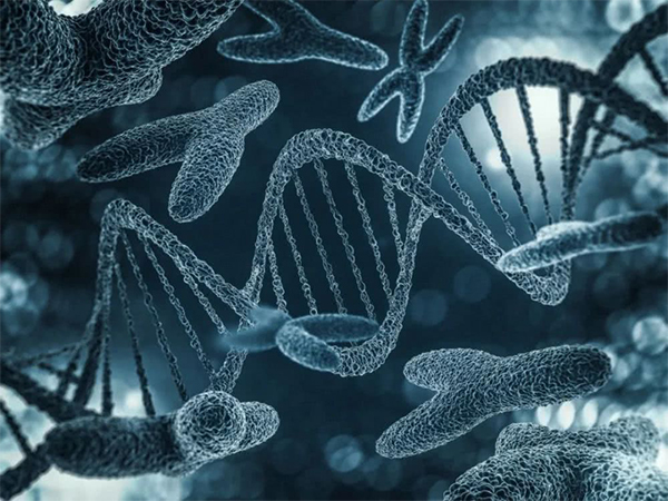 y微缺失试管不成功还有精子
