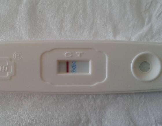 移植5天结果为白板是正常的