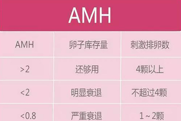 amh值与卵泡数量对照表