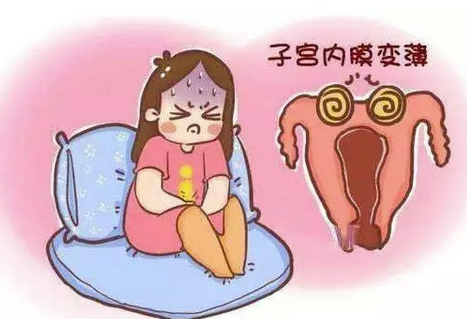 子宫内膜薄怎么调理备孕