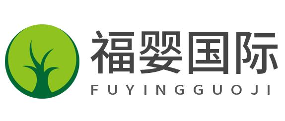 福婴国际