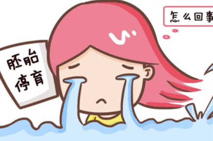 供卵试管移植胎停