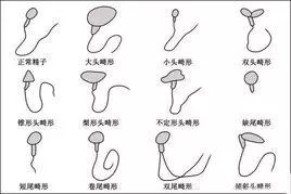 *图片_20181122163137.png