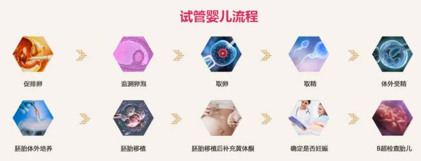 第三代试管流程和时间安排.png
