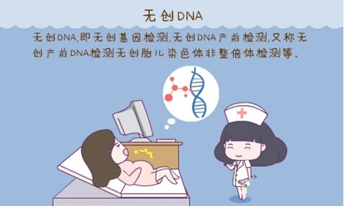 试管双胞胎无创dna通知复查