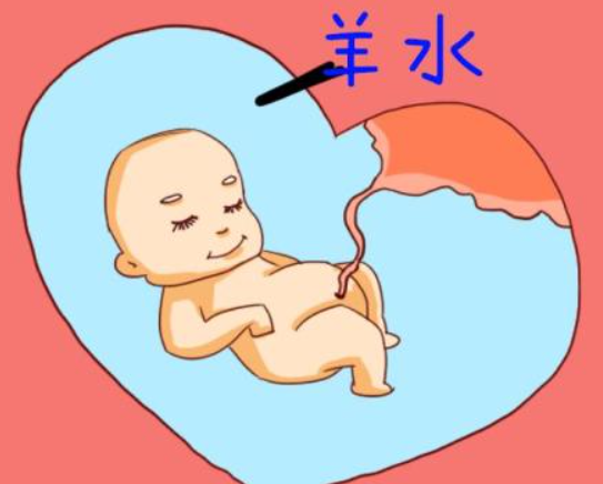 羊水指数能反应胎儿发育情况