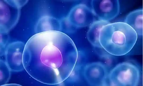 基础卵泡14个促排后的数量