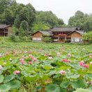 陈霄头像