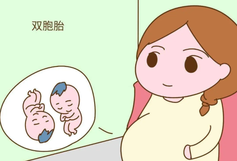 人工受精双胞胎费用和单胎一样吗.png