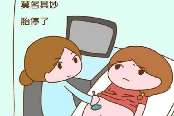 孕酮不足会造成胎停