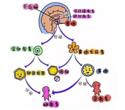 8ddffae96fc345dfc5634fa318bf9000ae3c4.png