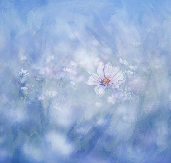timg (8)_meitu_11.jpg