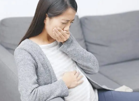 怀孕恶心说明胎坐稳了