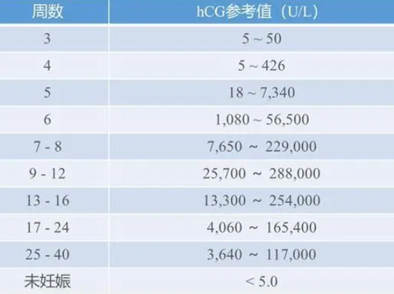 不同孕周HCG数值不同