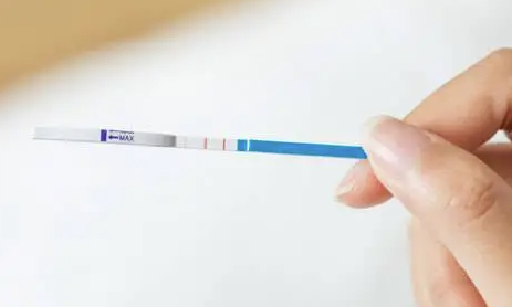 备孕人梦见试纸两道杠