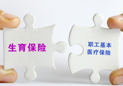 生育险报销需要哪些材料
