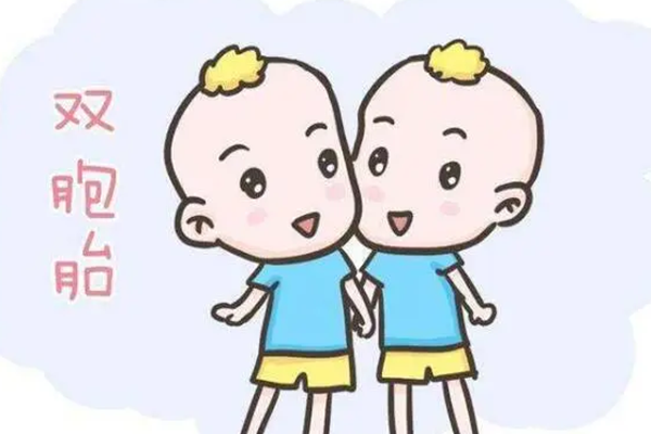来曲唑片促排能怀双胞胎