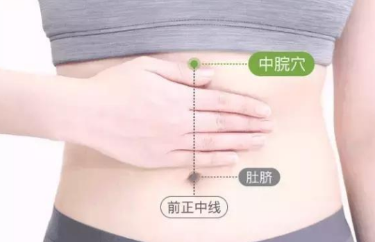 中脘穴位于腹部正中线上